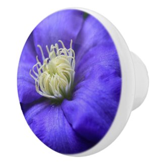 Purple Wildflower Clematis Custom Cabinet Knob / Ceramic Knob