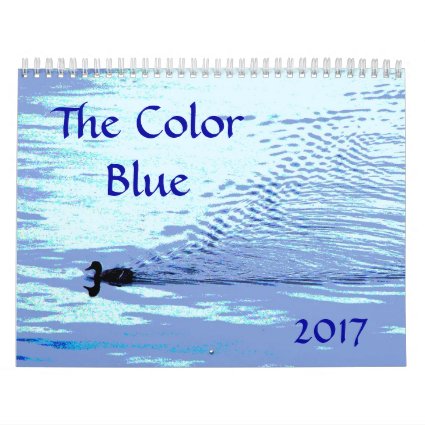 Color Blue 2017 Nature Art Photography Calendar