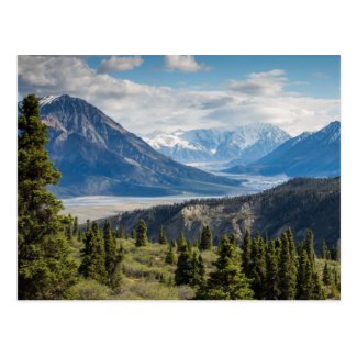 Mountains Forest River Postcard