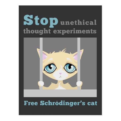 schrodinger's cat