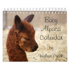 Baby Alpaca Calendar 2018