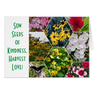 SEEDS OF KINDNESS - GREETING CARD