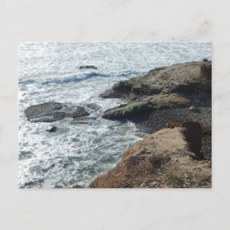  CABRILLO BEACH #6 Postcard