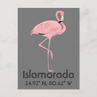 Islamorada FL Keys Flamingo Latitude Longitude Postcard