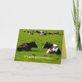 Friendship greeting card, cows in green pasture