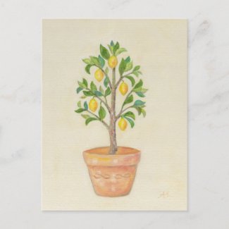 Lemon Tree postcard
