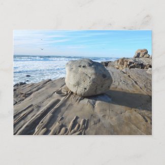  CABRILLO BEACH #1 Postcard
