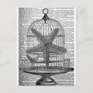 beach dictionary print steampunk Birdcage Starfish Postcard