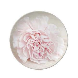 Pretty Pink Carnation Porcelain Plate