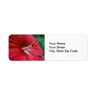 Red Hibiscus With Raindrops return address label