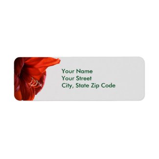 Red Lion Amaryllis Flower Christmas address labels