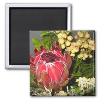 Protea Bouquet 2 Inch Square Magnet