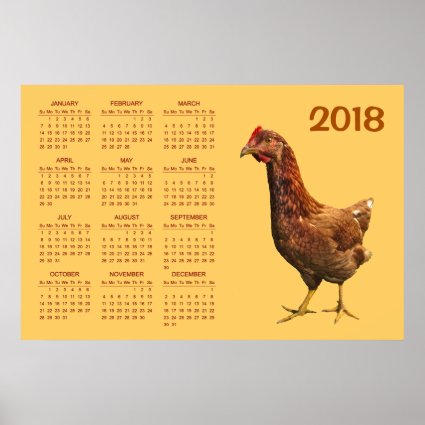 Red Hen Chicken Bird 2018 Animal Calendar Poster