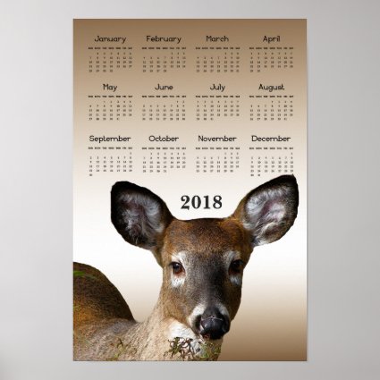 White Tailed Deer 2018 Animal Calendar Poster