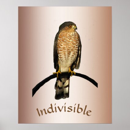 Indivisible Hawk Poster