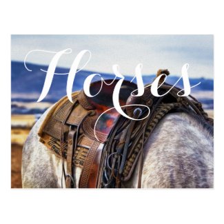 Scenic Horse and Saddle Postcard