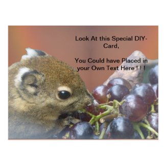 Cute Squirrel DIY Postcard