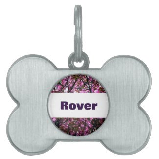 Cherry Blossoms on Pet Name Tag