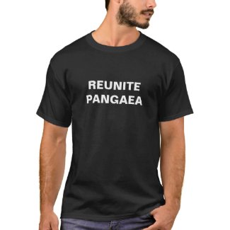 The Reunite Pangaea T-shirt