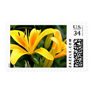 Yellow Lily Postage