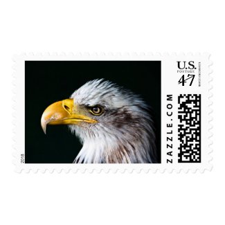 Eagle Stamp