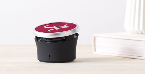 Custom Bluetooth Speaker Ideas
