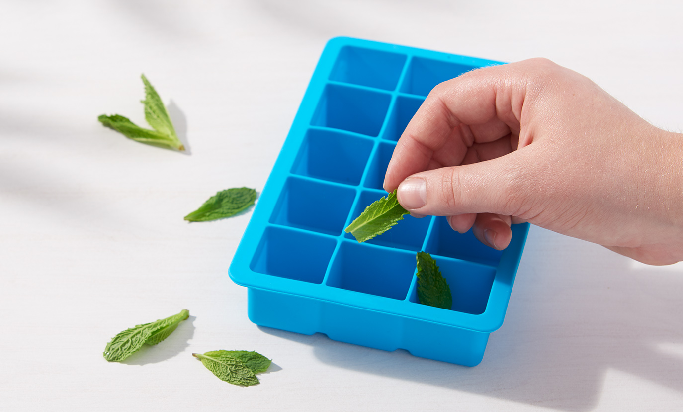 DIY: Mint Ice Cubes | Zazzle Ideas