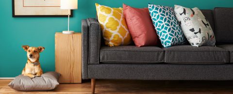 Pillow Talk- Transform Your Home in One Weekend