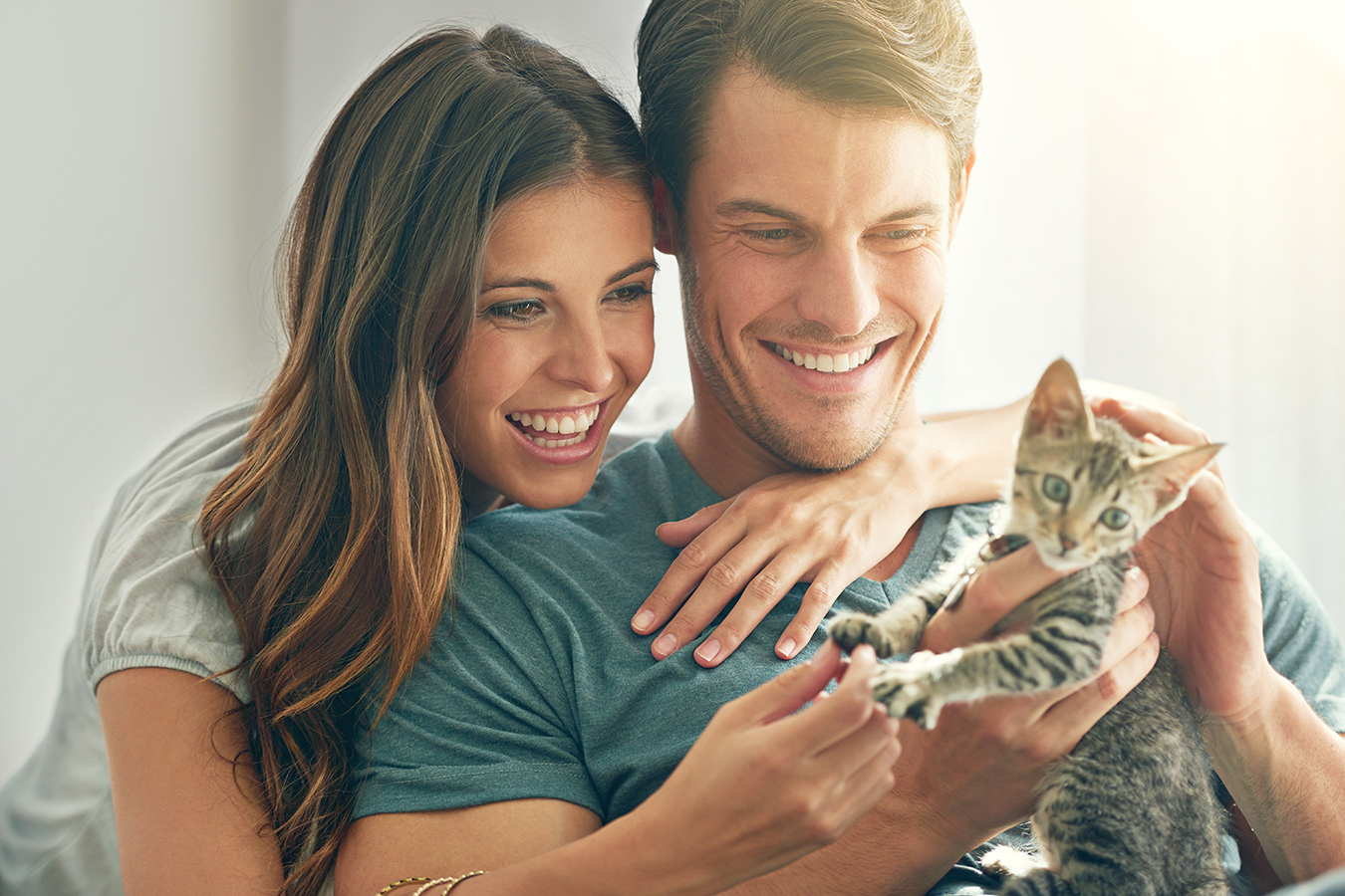 How to adopt the perfect shelter cat