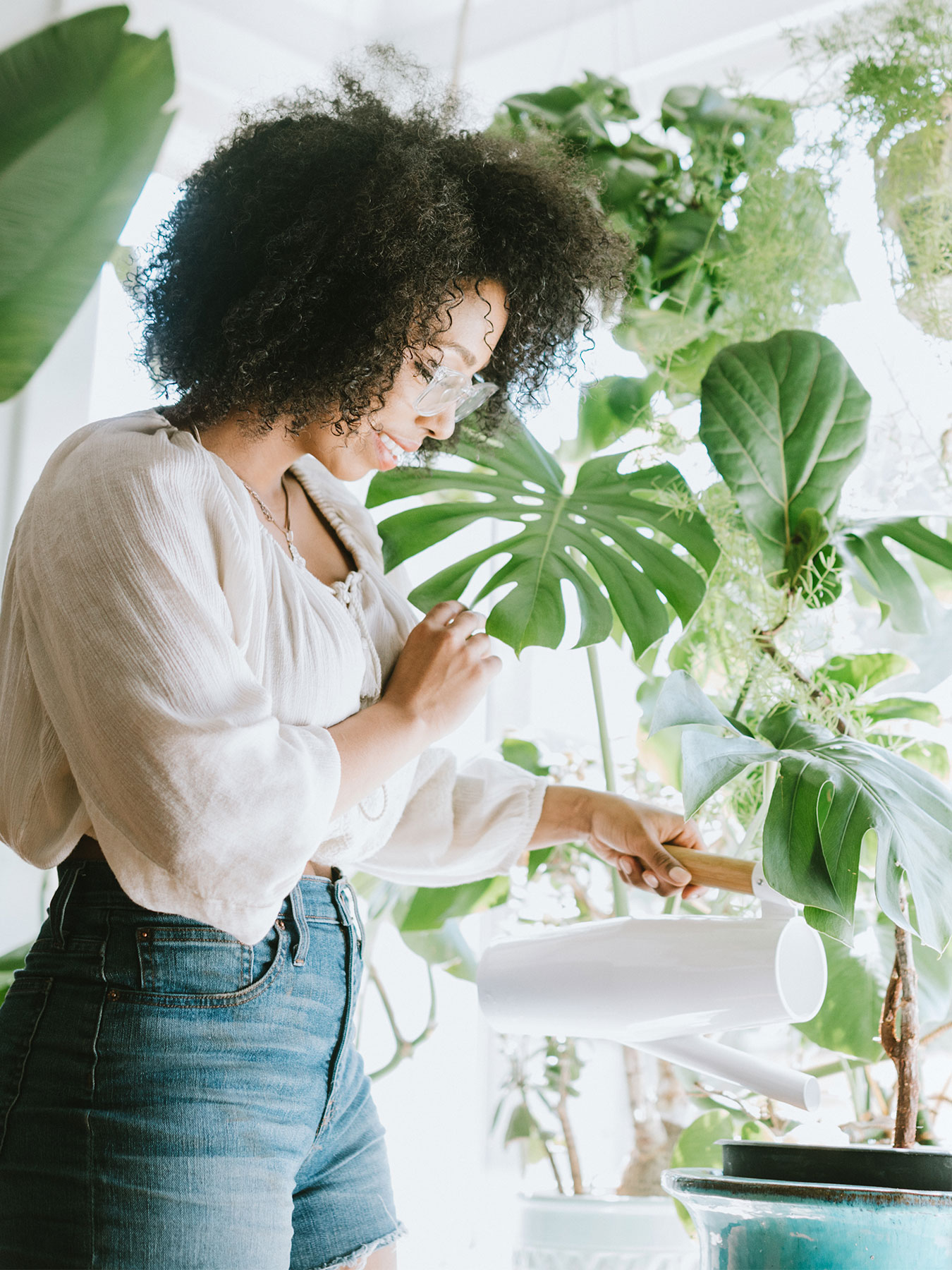 Which houseplants are right for you?