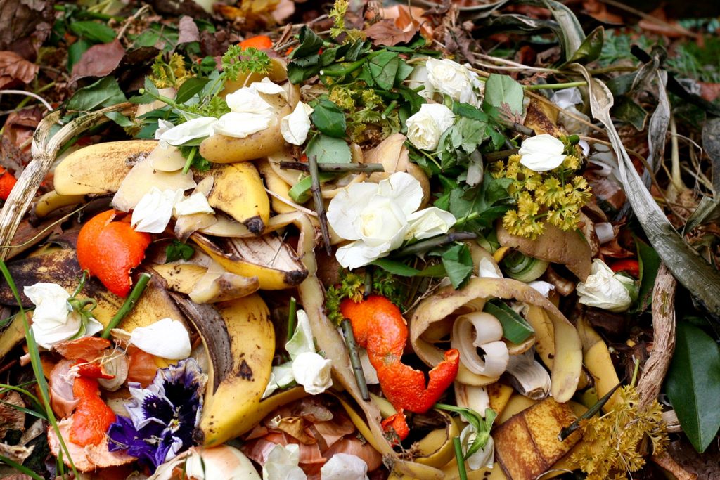 What's the deal with composting - starting your own compost pile