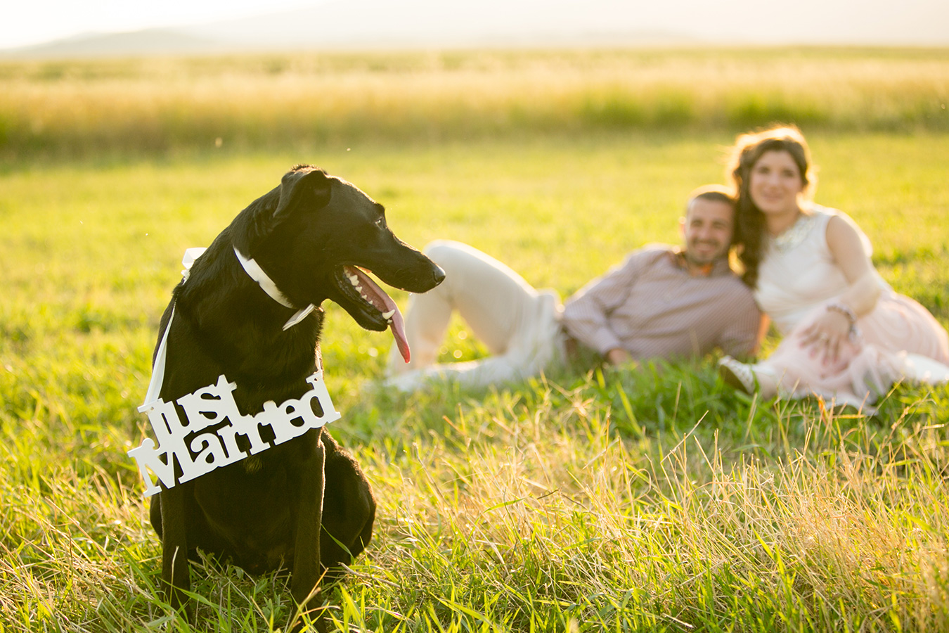 10 unique photos to take on your wedding day