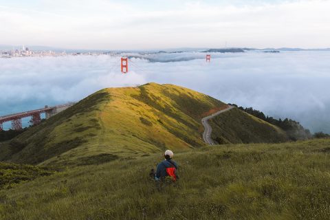 Things to do on a staycation