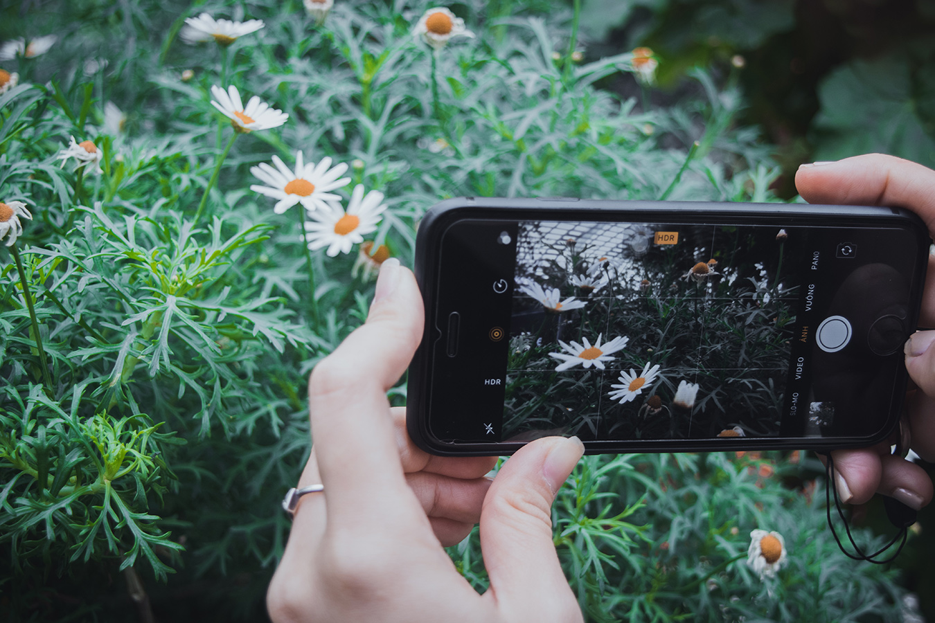 Best photo editing apps to improve your pictures