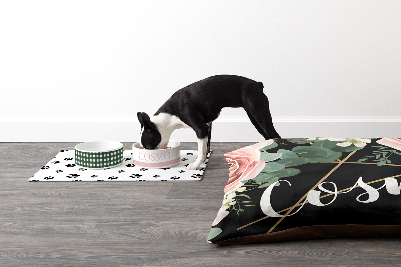 Holiday gift guide for pets