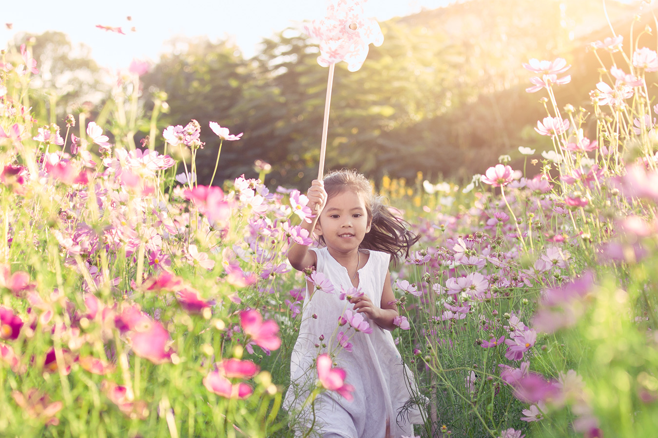 May Day Origins and Traditions Zazzle Ideas