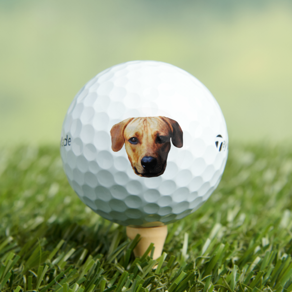 Custom Picture Golf Balls With Dog Face