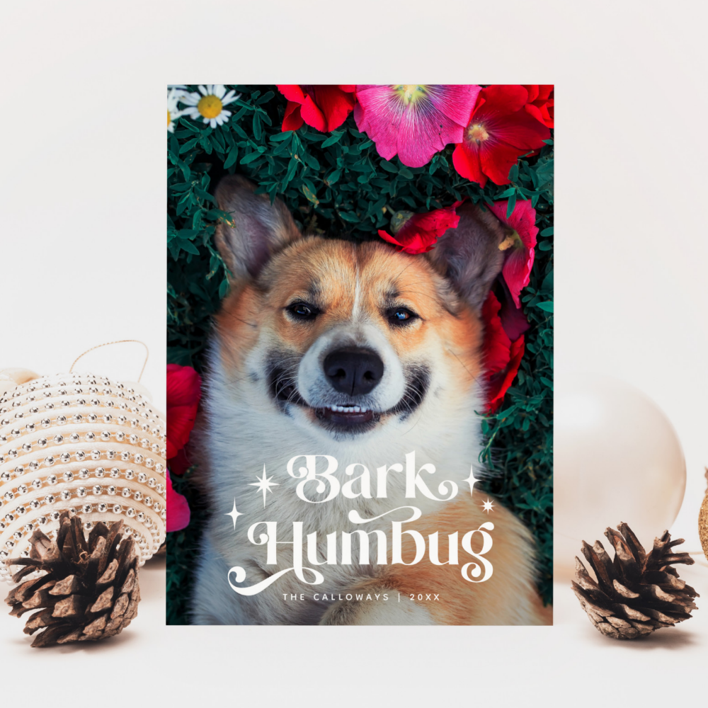 BARK HUMBUG Funny Dog Christmas Holiday Card