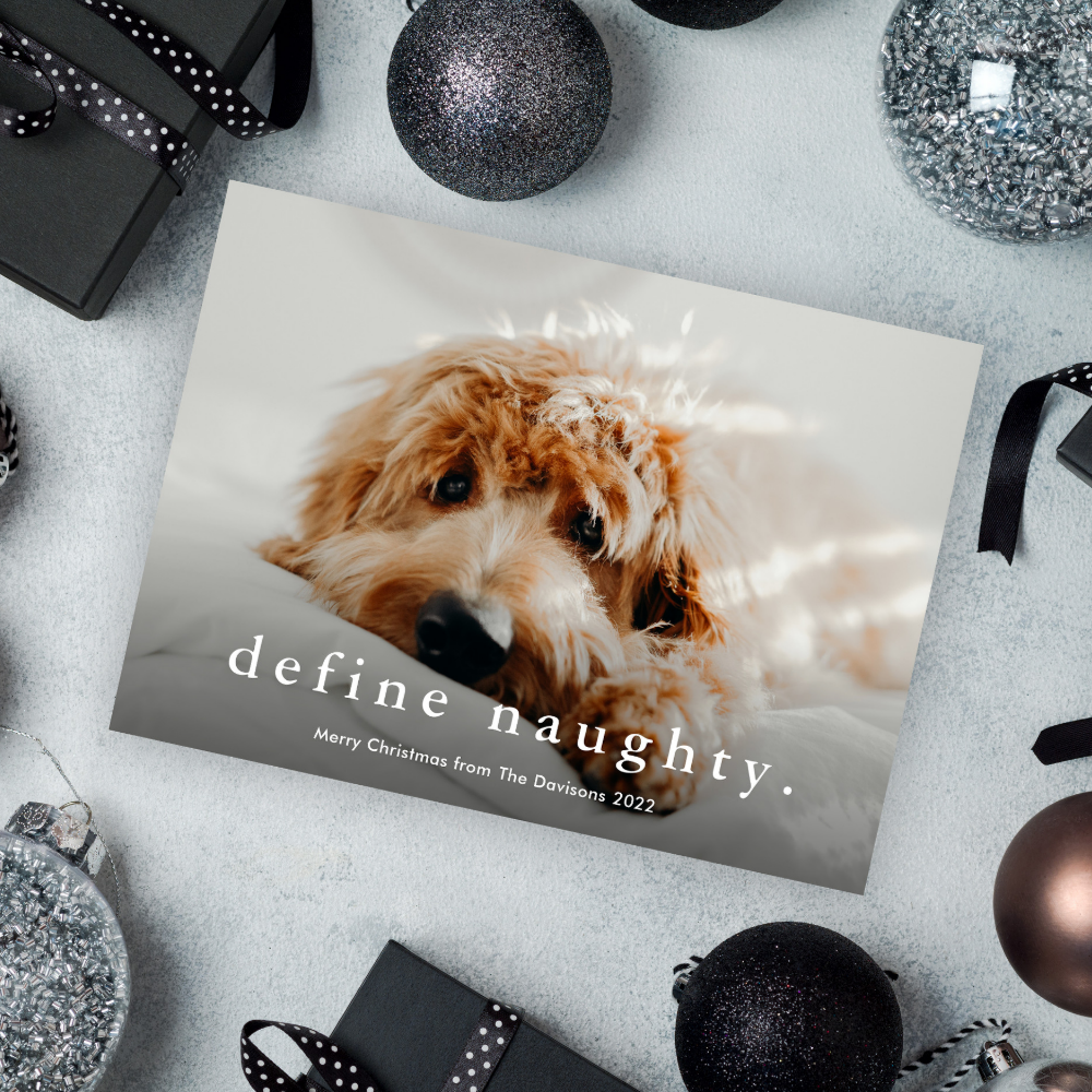 Budget Define Naughty Funny Pet Christmas Card
