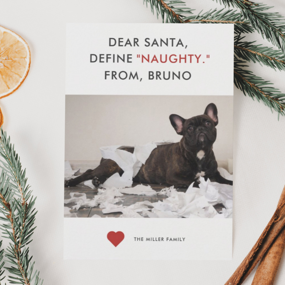 Dear santa, define "naughty" from, bruno