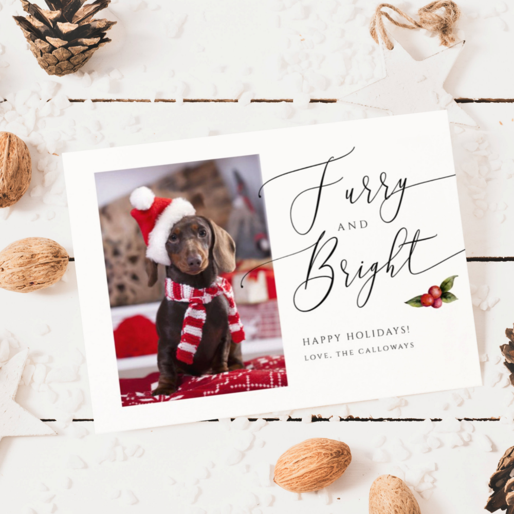 Furry and Bright Pet Photo Christmas Holiday Card
