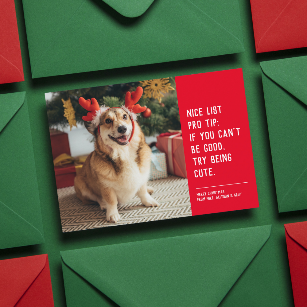 Nice list funny pet Christmas photo Holiday Card
