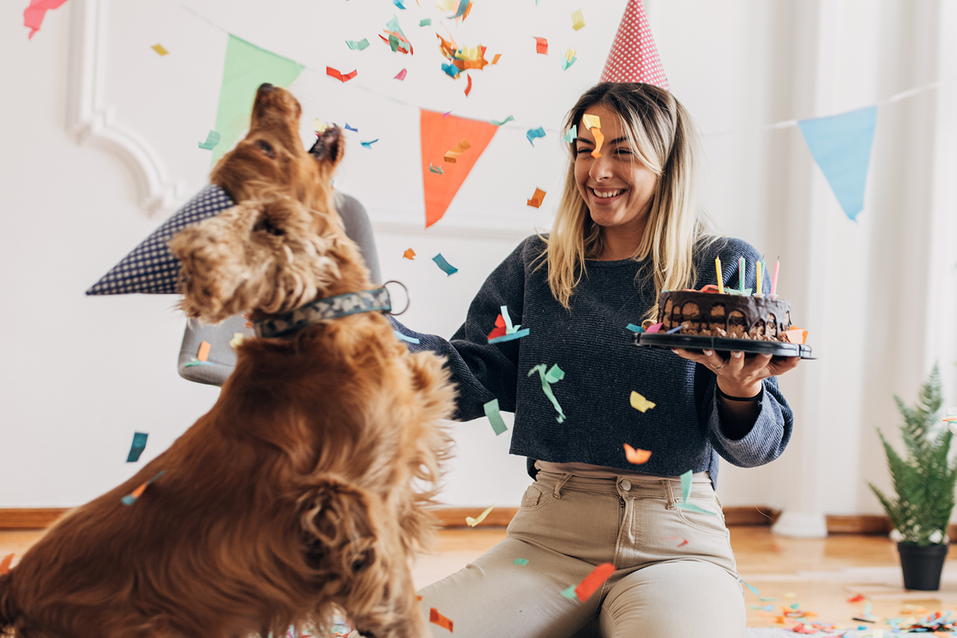 How To Throw A Pawsome Dog Birthday Party