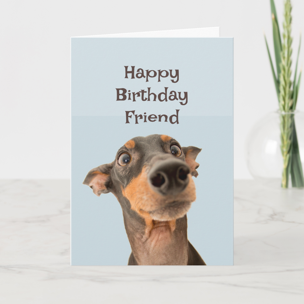 Happy Birthday Friend Funny Dog Humor Card
