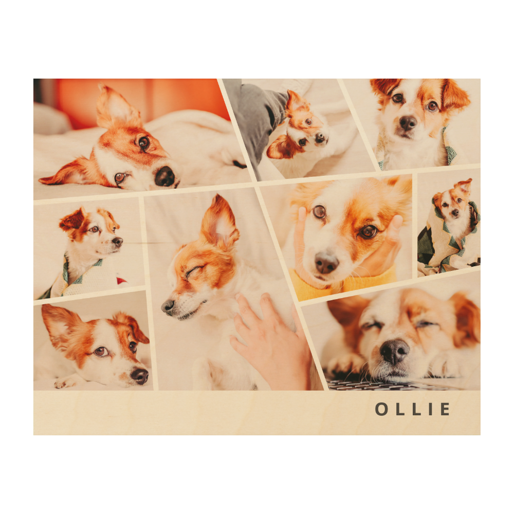 Pets Modern Simple Custom 9 Photos Collage Wood Wall Art