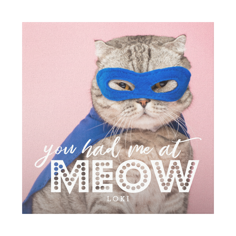 Cat Photo | You Had Me At MEOW Custom Canvas Print