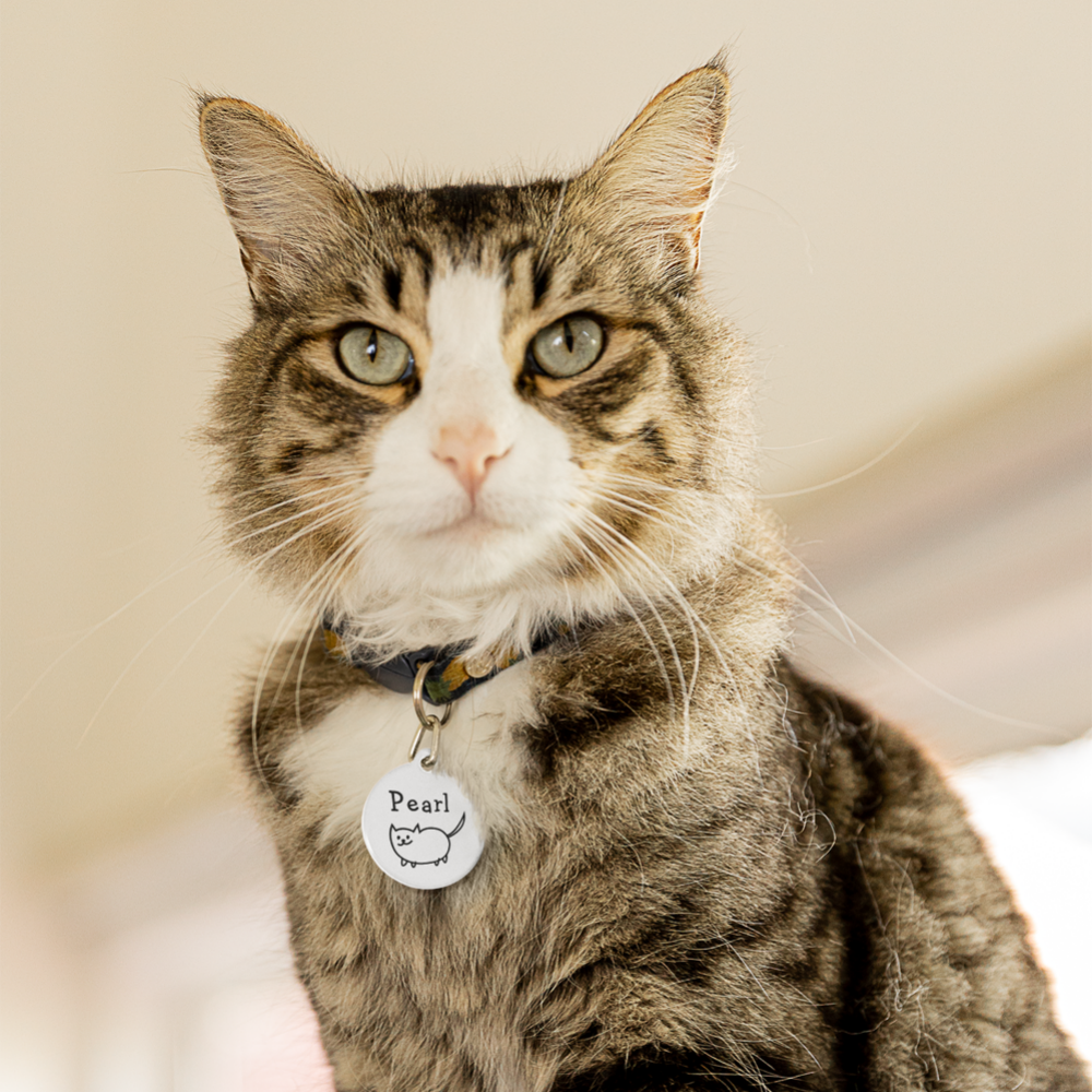 Cat Doodle ID Tag

