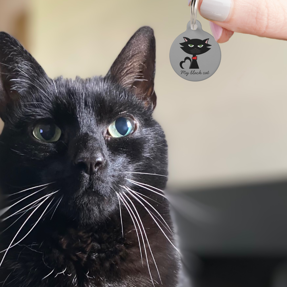 Cute Black Kitty Cat Name Address Grey Pet ID Tag
