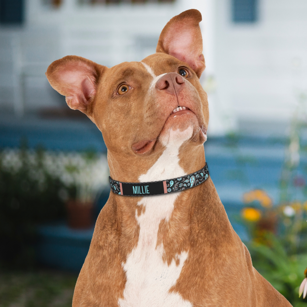 Paisley Teal Blue Black Dog Collar