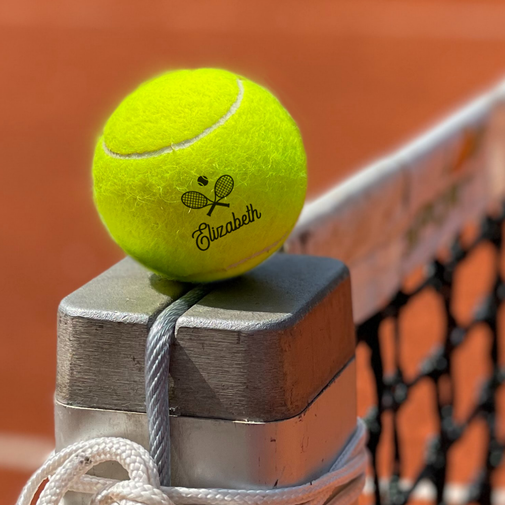 Tennis Ball on Net